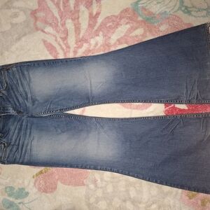 Silver Jeans Blue Flare Wide Leg Denim